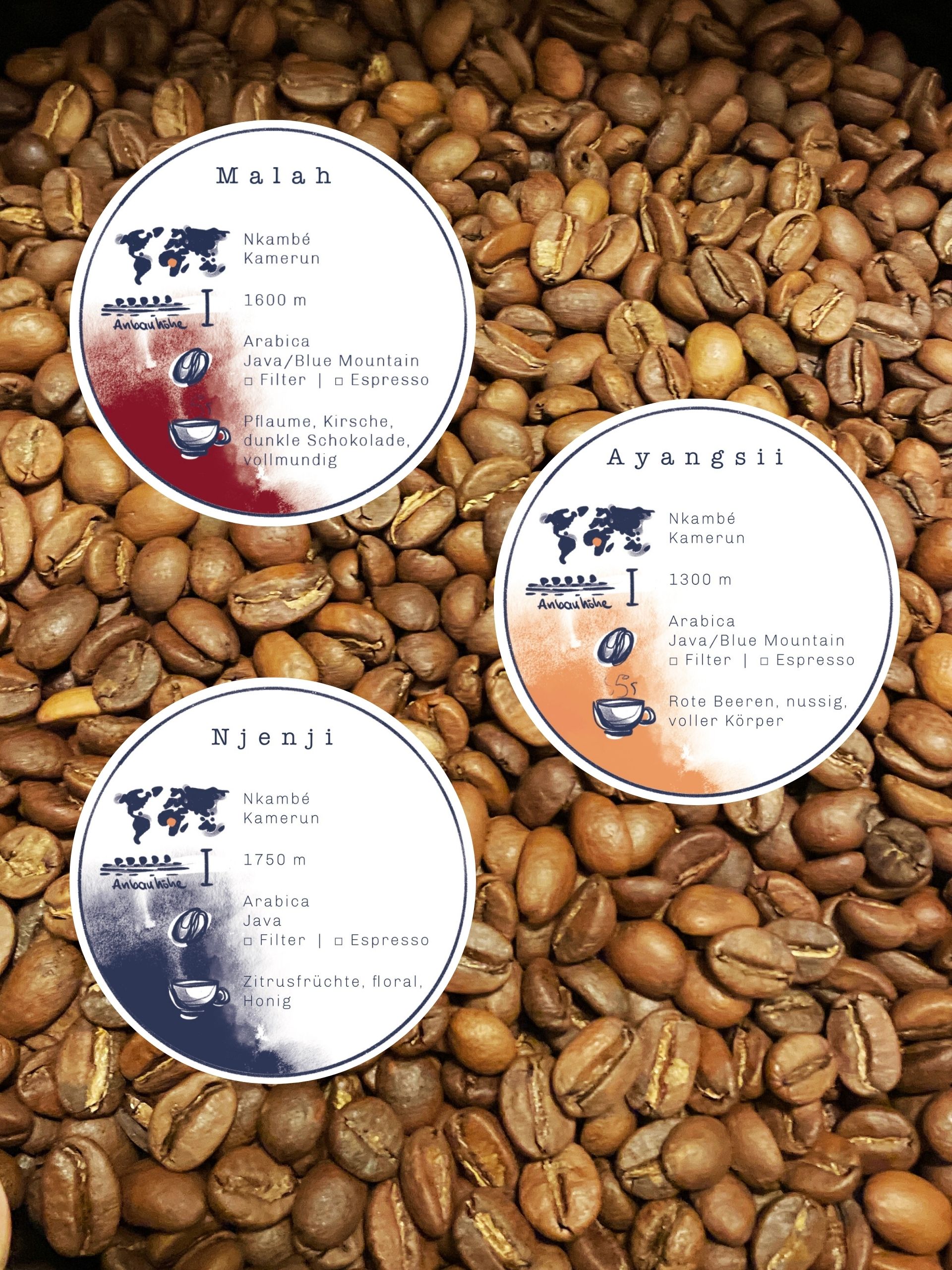 Probierpaket Malah & Ayangsii & Njenji | 250g | 100g