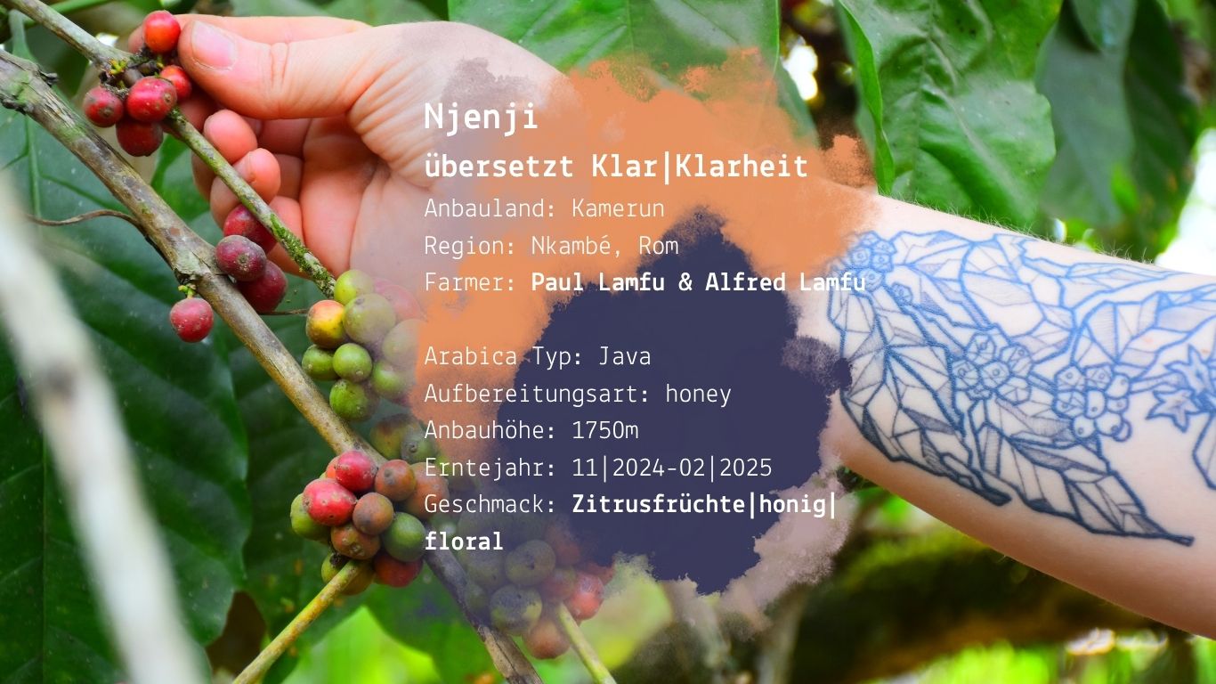 Njenji | 250g | 100g – Bild 2